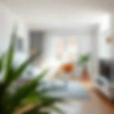 Inspiring arrangement of a studio apartment with natural light