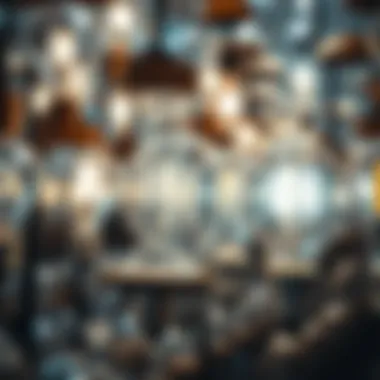 Various types of bulbs on display