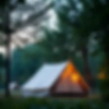 A serene tent camp surrounded by lush green trees.