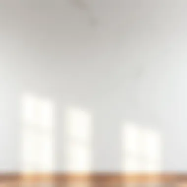 Artistic whitewashed wall, illustrating the transformative power of white aging techniques.