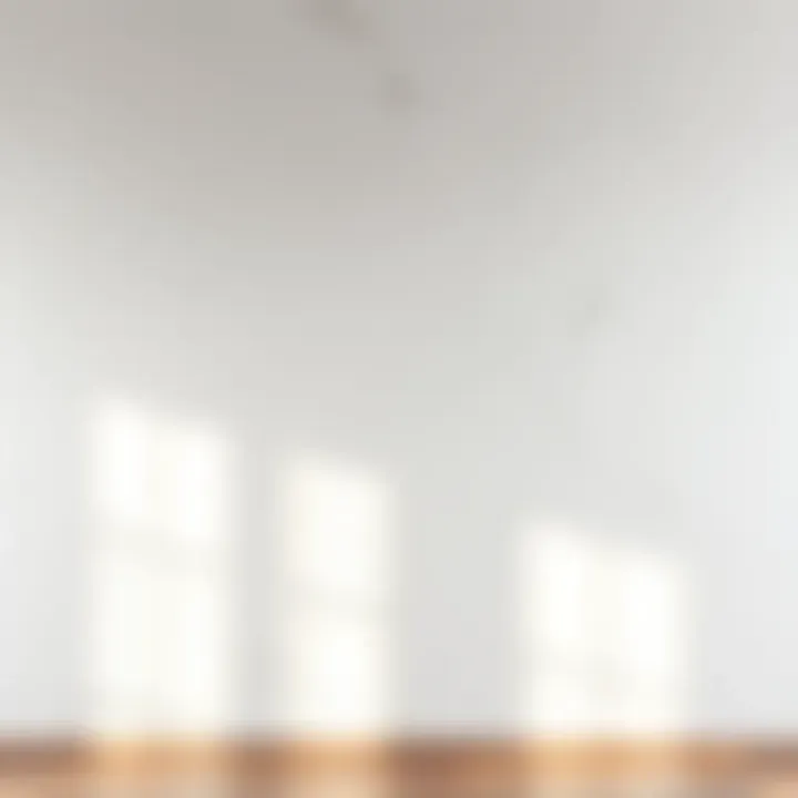 Artistic whitewashed wall, illustrating the transformative power of white aging techniques.