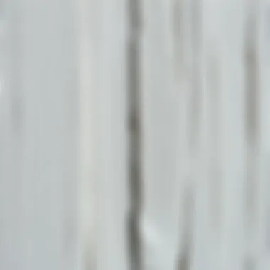 Close-up of a whitewashed wooden surface, highlighting the intricate details of the aging technique.