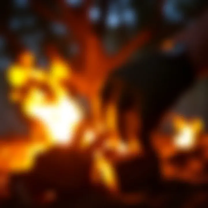 Close-up of a campfire glowing in the evening light