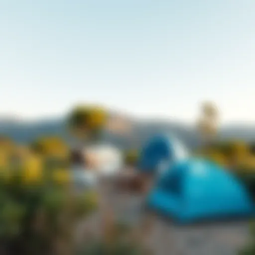 Scenic view of a white and blue camping site amidst nature