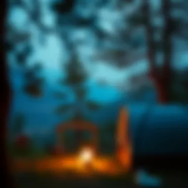 A scenic view of nature during a camping trip