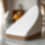 Close-up view of a ceramic iron soleplate showcasing its smooth surface.