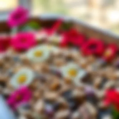 Diverse flower seeds ready for planting