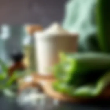 DIY aloe vera face mask ingredients arranged neatly