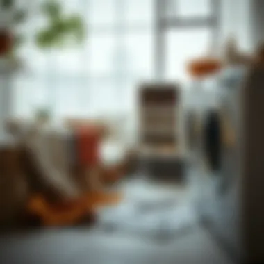 Eco-friendly laundry practices for sustainable care