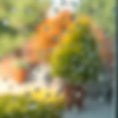 A well-maintained glass surface treated with a hydrophobic solution, repelling water.