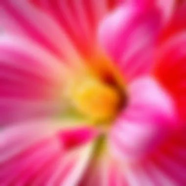 Close-up view of a blooming flower highlighting its intricate details.