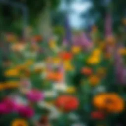 A vibrant garden filled with various flower species showcasing biodiversity.
