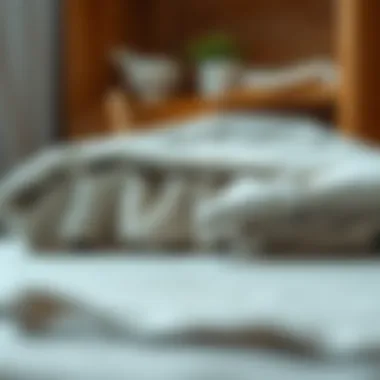 A freshly cleaned fabric cover displayed neatly.