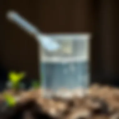 Soil testing for optimal moisture levels