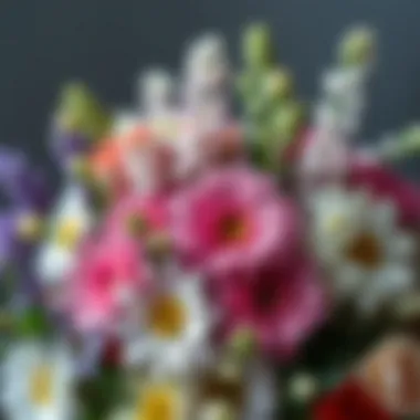 Close-up of a colorful bouquet showcasing various species