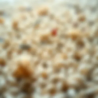 A close-up of carpet fibers demonstrating dirt removal.