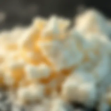 A close-up of kefir grains with tips for their maintenance