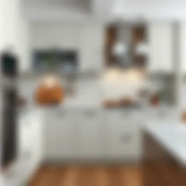 Functional and elegant materials used in kitchen closures