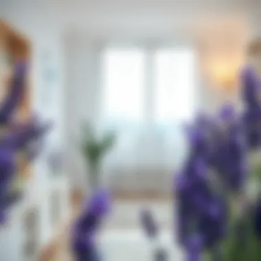 A serene room filled with lavender aroma