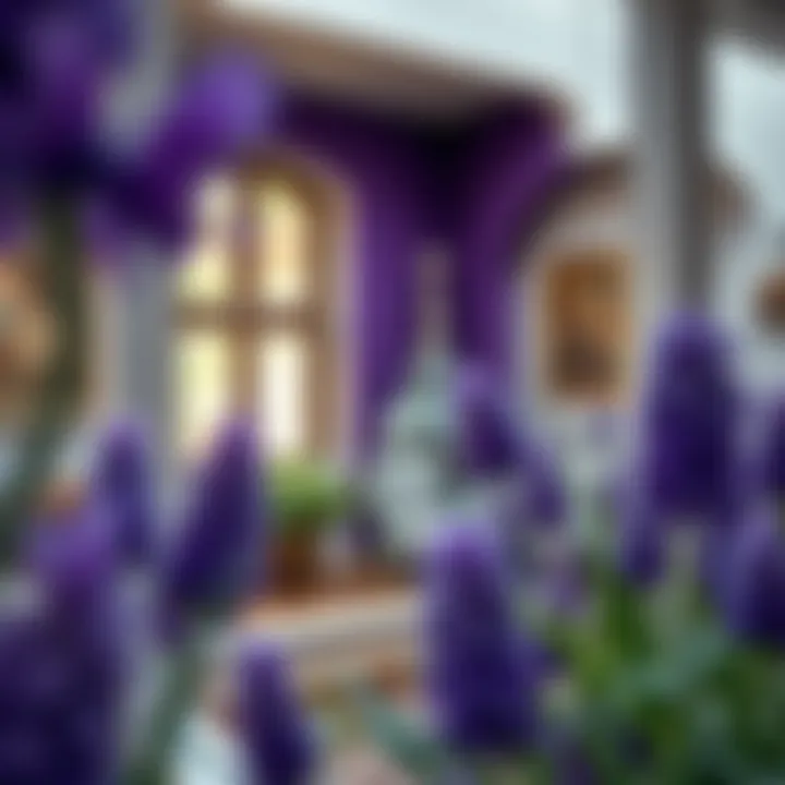 A historical depiction of purple's significance in art and culture