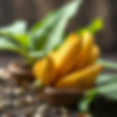 Nutritional content of banana peels