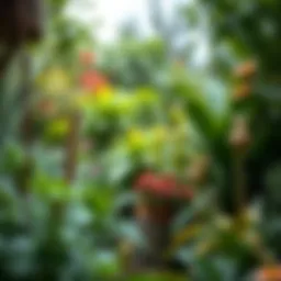 A lush garden featuring plants that repel insects