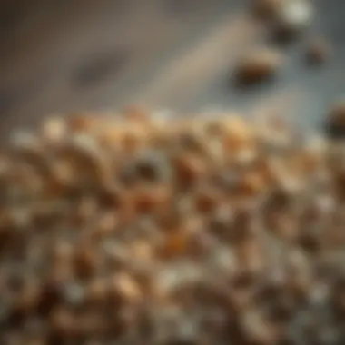 A variety of seeds representing different planting times