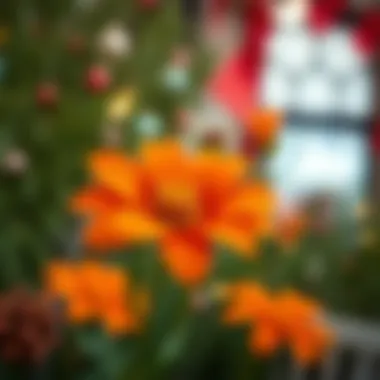 Vibrant orange flower in a festive setting