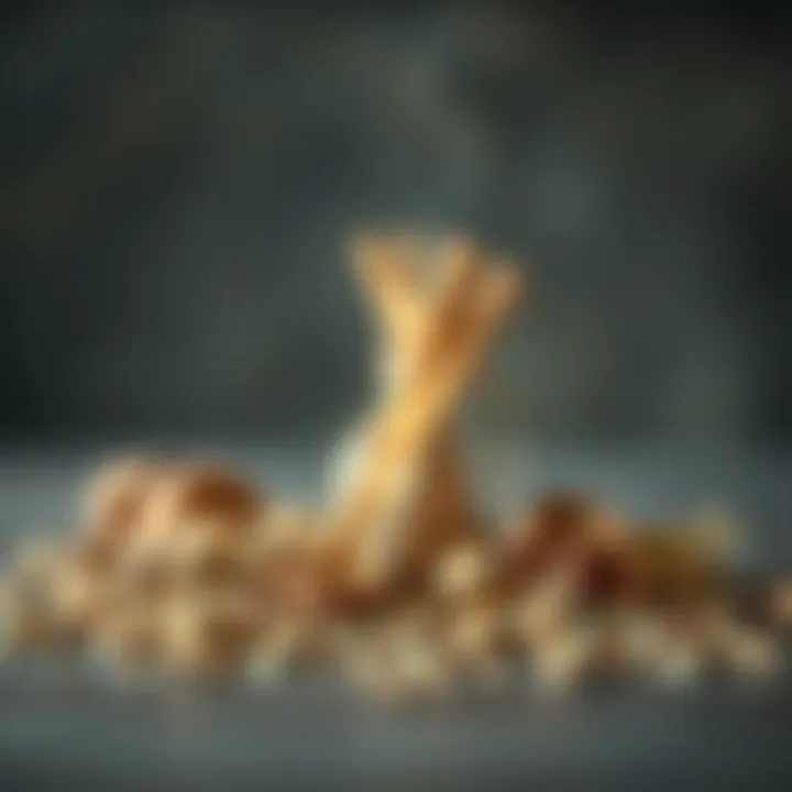 Natural ingredients used in crafting incense.