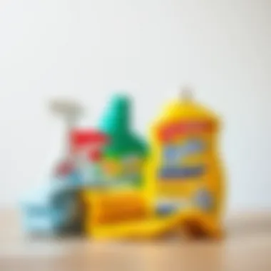 Effective cleaning supplies for paint removal