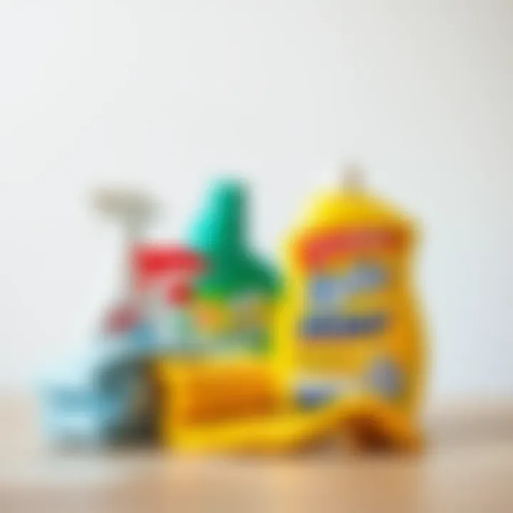 Effective cleaning supplies for paint removal