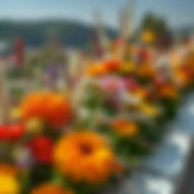 A variety of summer flowers arranged artistically in a natural landscape